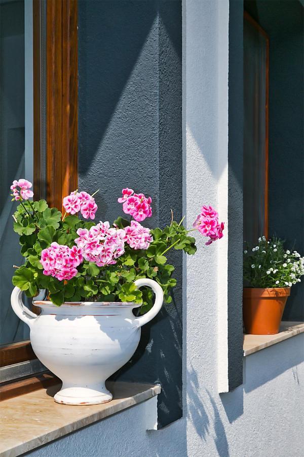 Apartment Villa 125 Hévíz Exteriér fotografie